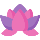 Lotus Flower